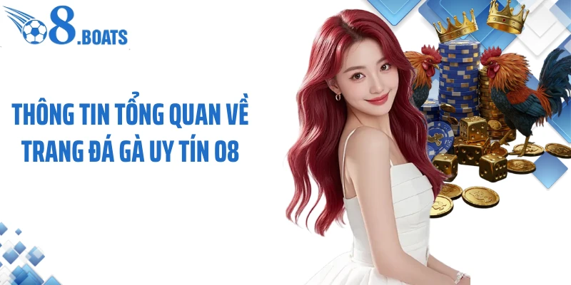Thông tin tổng quan về trang đá gà uy tín O8